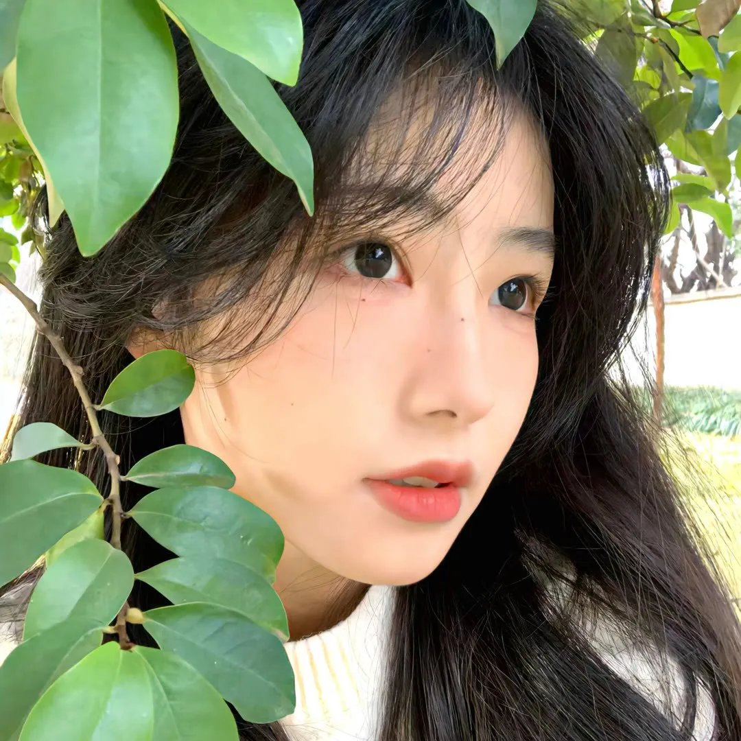 夜晚真相